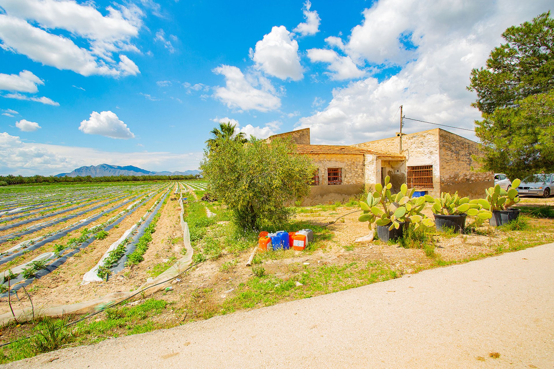 Resale - country house -
San Isidro - San Isidro Centro