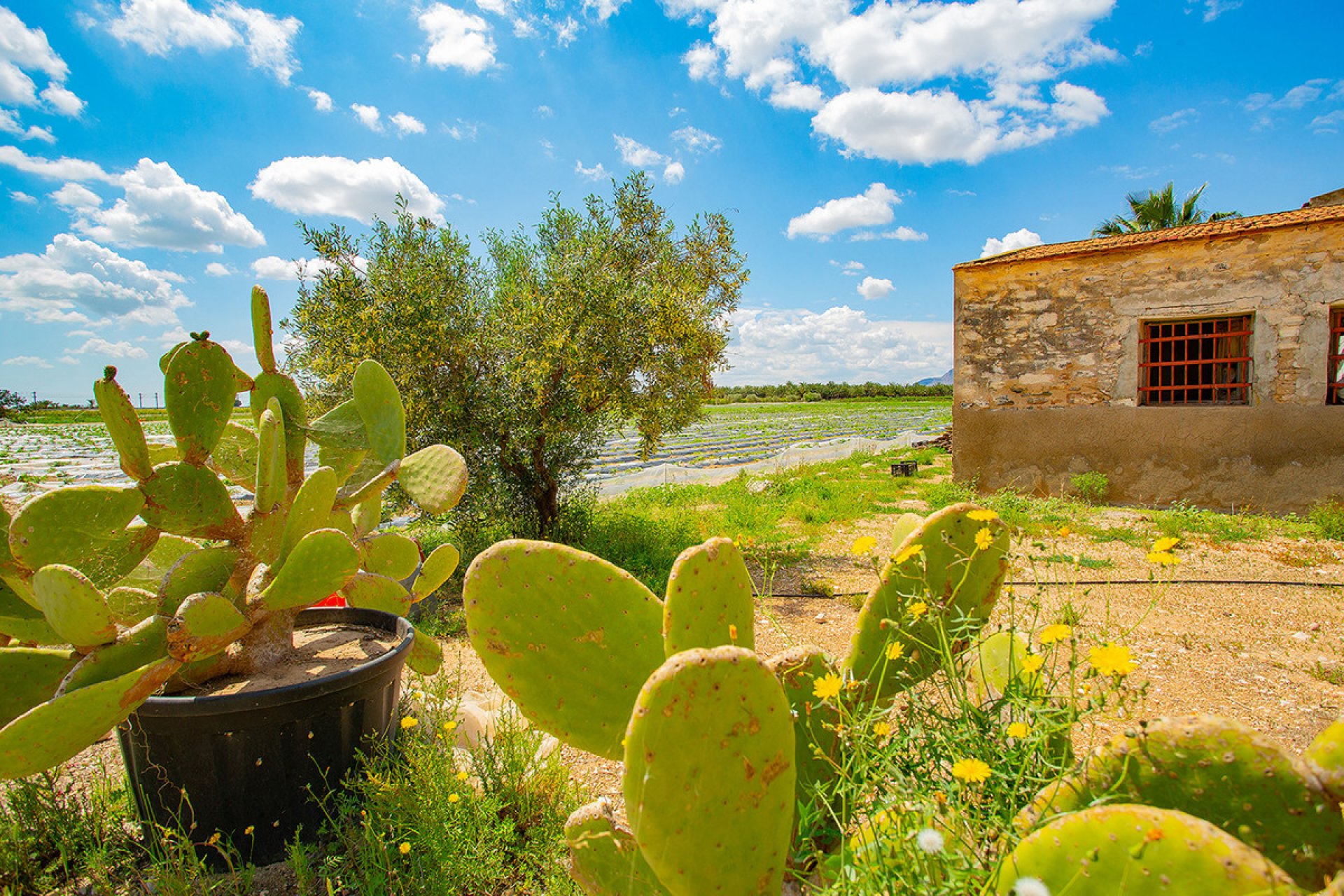 Resale - country house -
San Isidro - San Isidro Centro