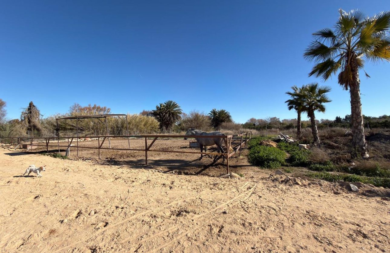 Resale - land -
Algorfa - Algorfa Centro