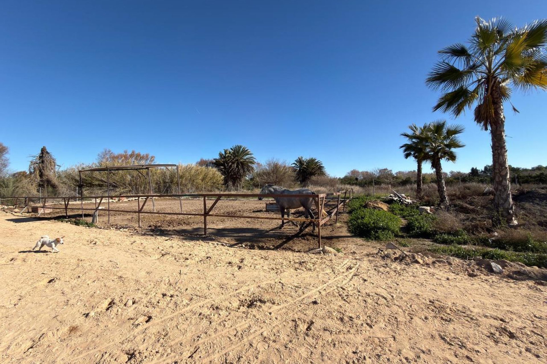 Resale - land -
Algorfa - Algorfa Centro