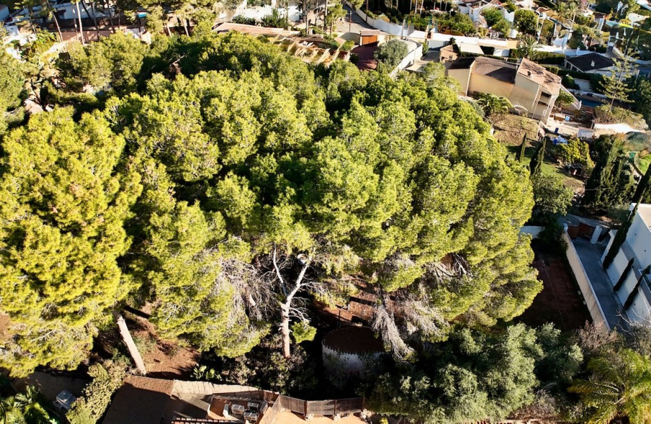 Resale - land -
Benissa - La Cometa