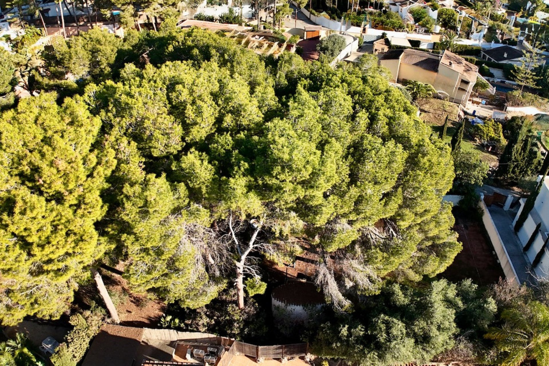 Resale - land -
Benissa - La Cometa