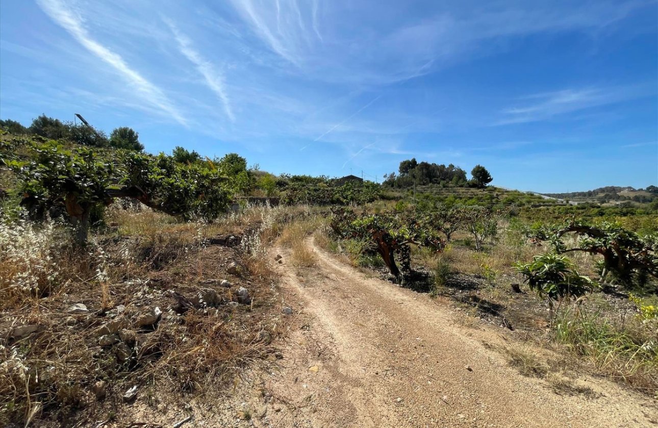 Resale - land -
Callosa d'en Sarria - Callosa d'en Sarria Centro