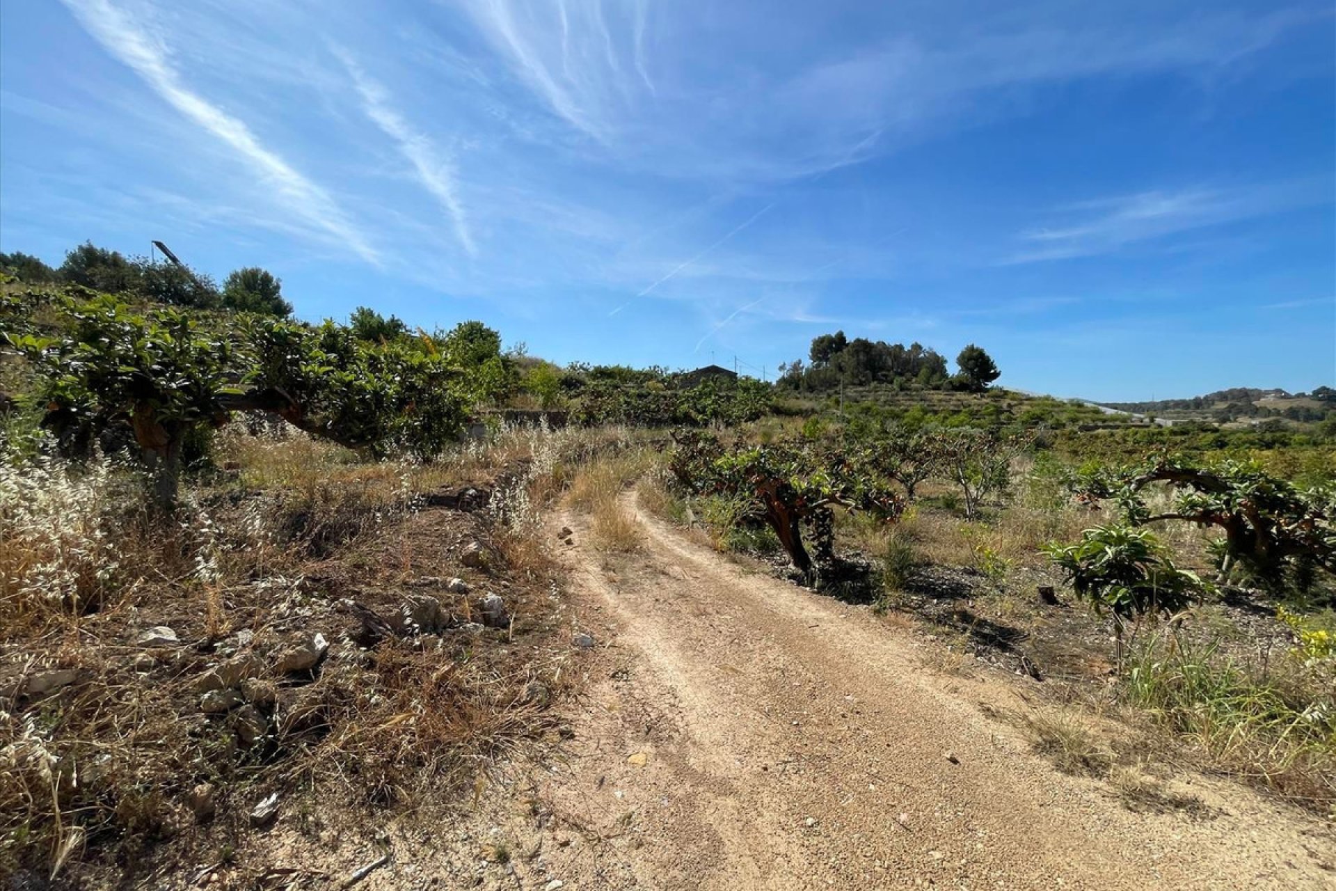 Resale - land -
Callosa d'en Sarria - Callosa d'en Sarria Centro