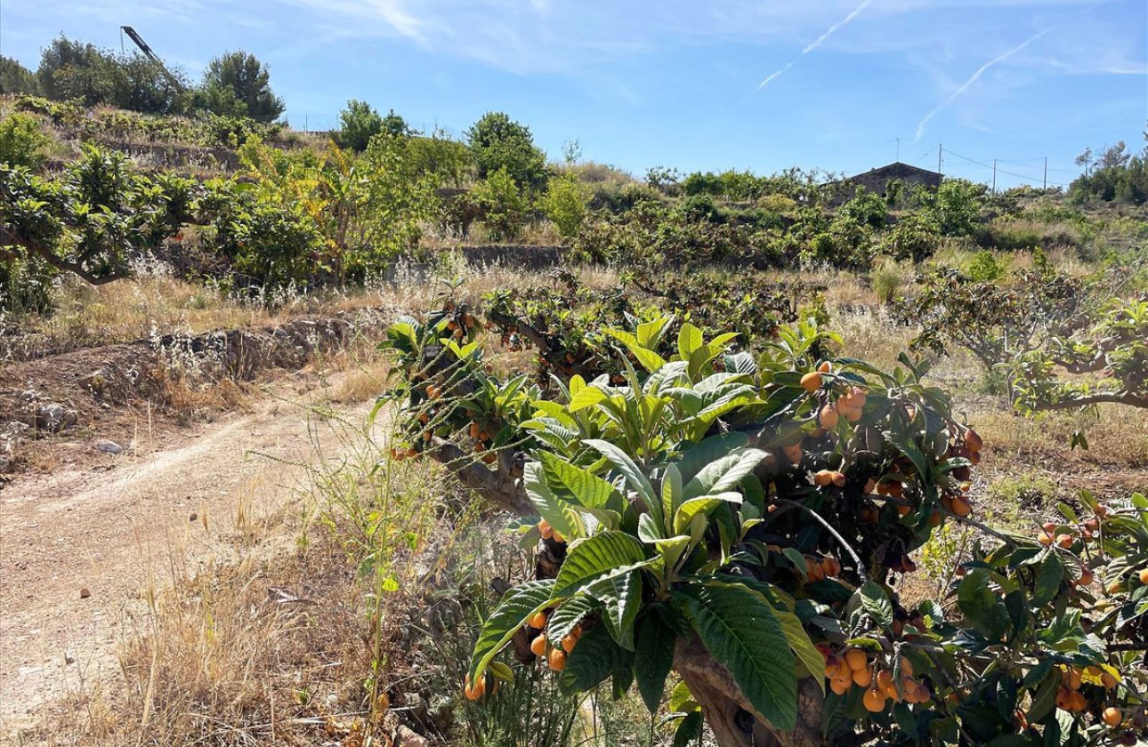 Resale - land -
Callosa d'en Sarria - Callosa d'en Sarria Centro