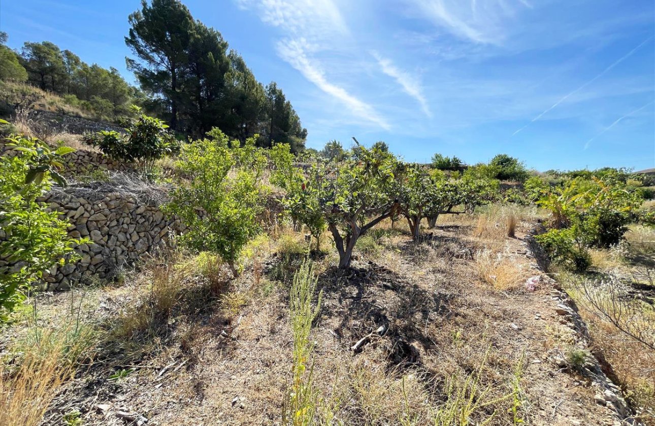 Resale - land -
Callosa d'en Sarria - Callosa d'en Sarria Centro