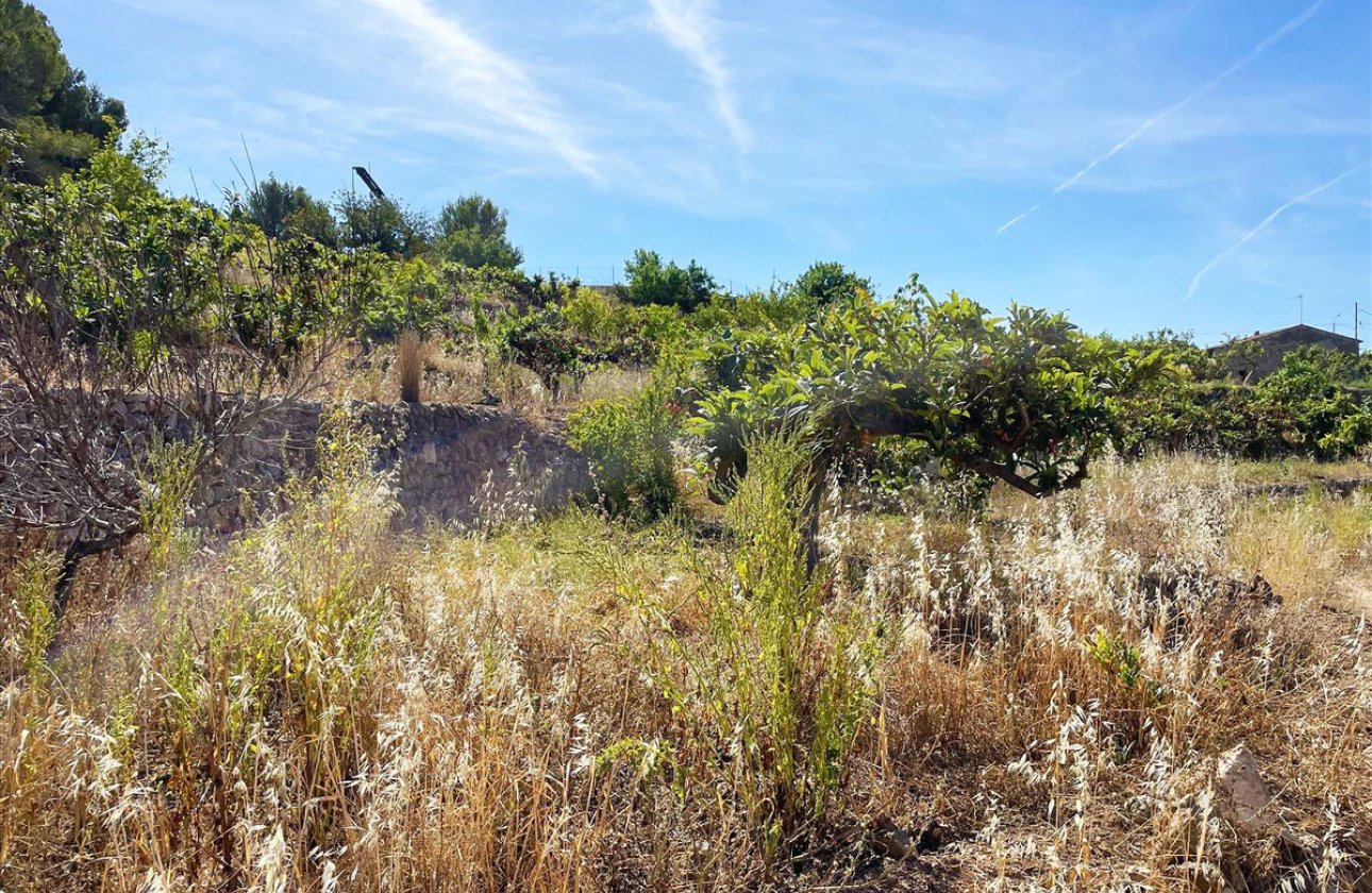 Resale - land -
Callosa d'en Sarria - Callosa d'en Sarria Centro