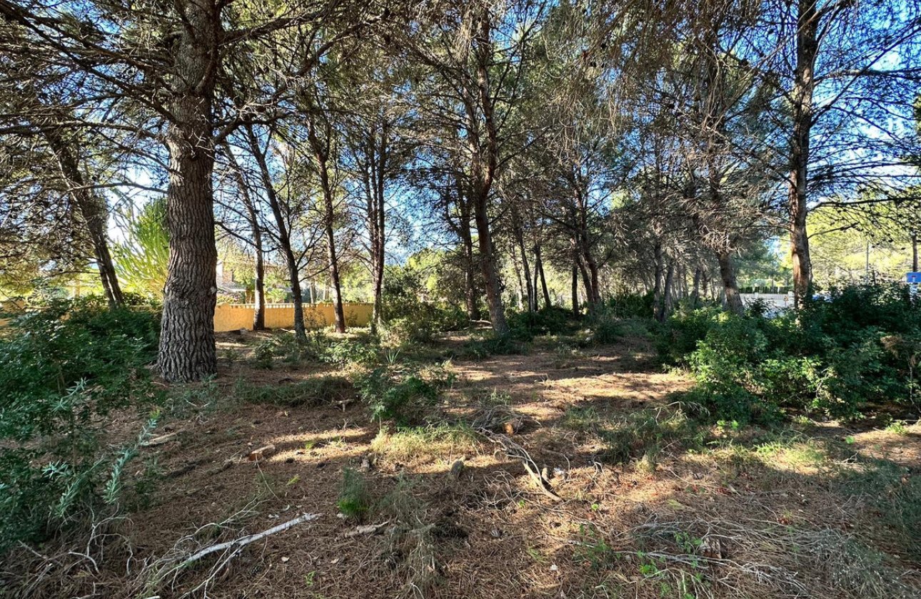 Resale - land -
Calpe - Calpe Centro