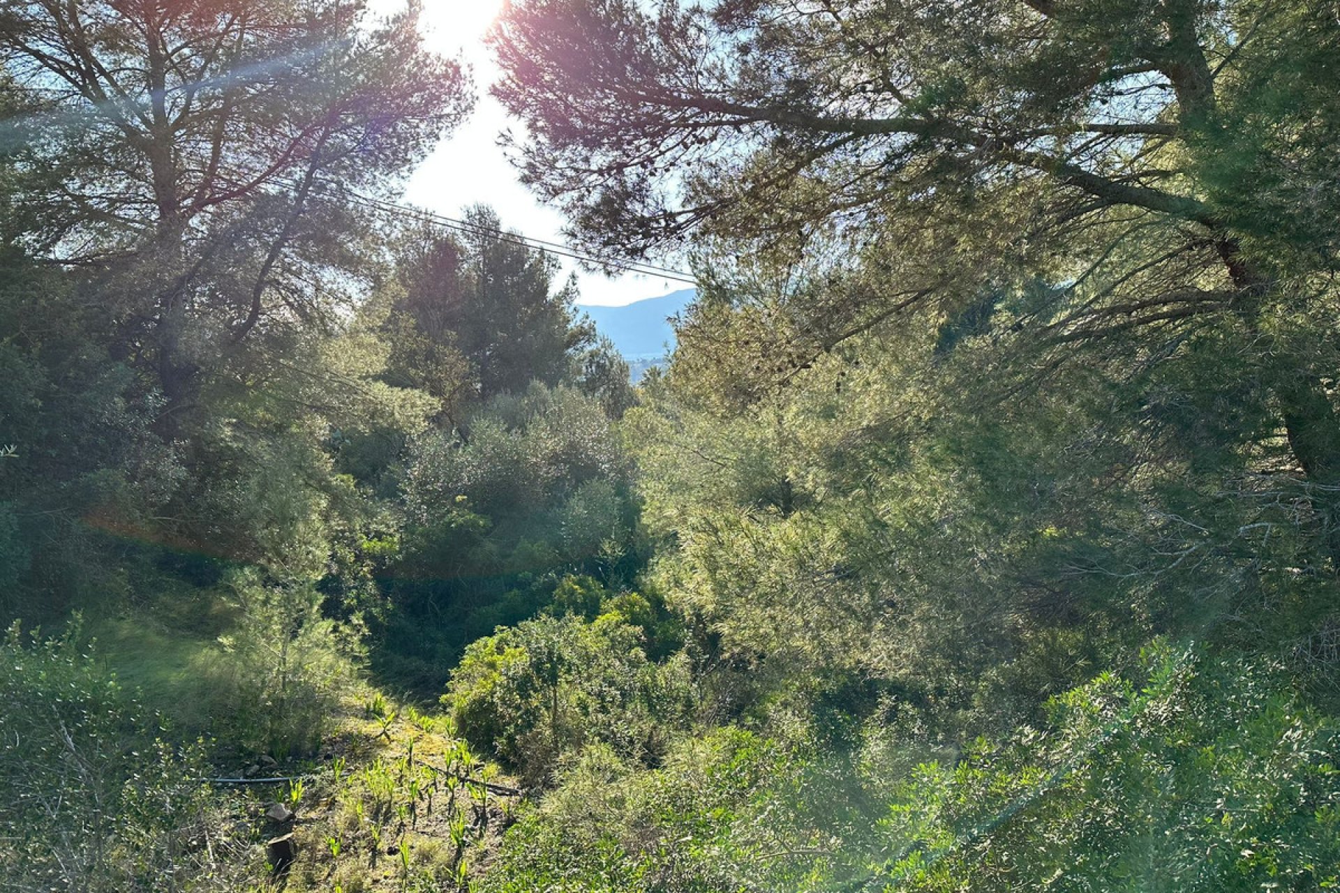 Resale - land -
Calpe - Calpe Centro