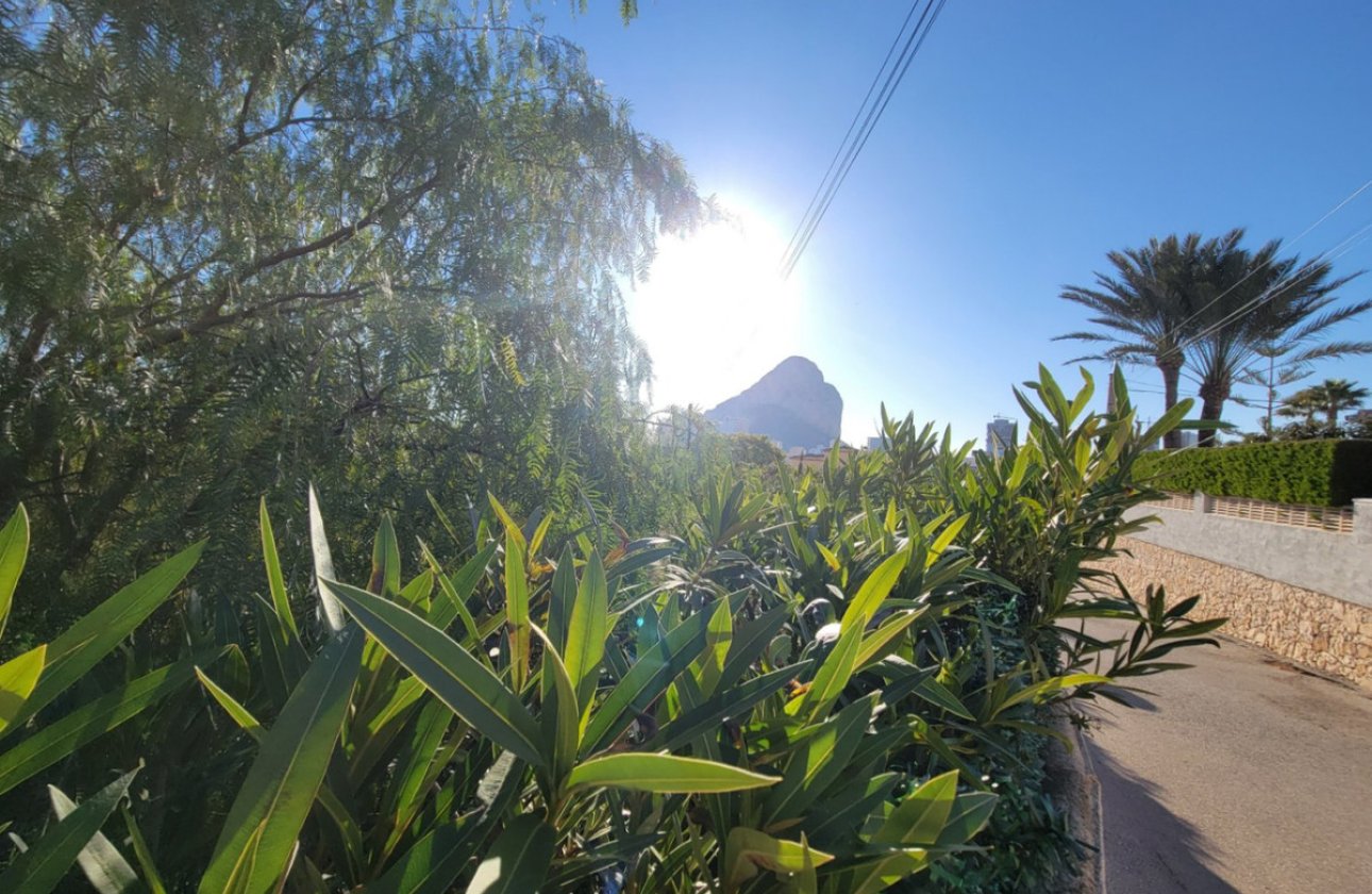 Resale - land -
Calpe - Calpe Centro