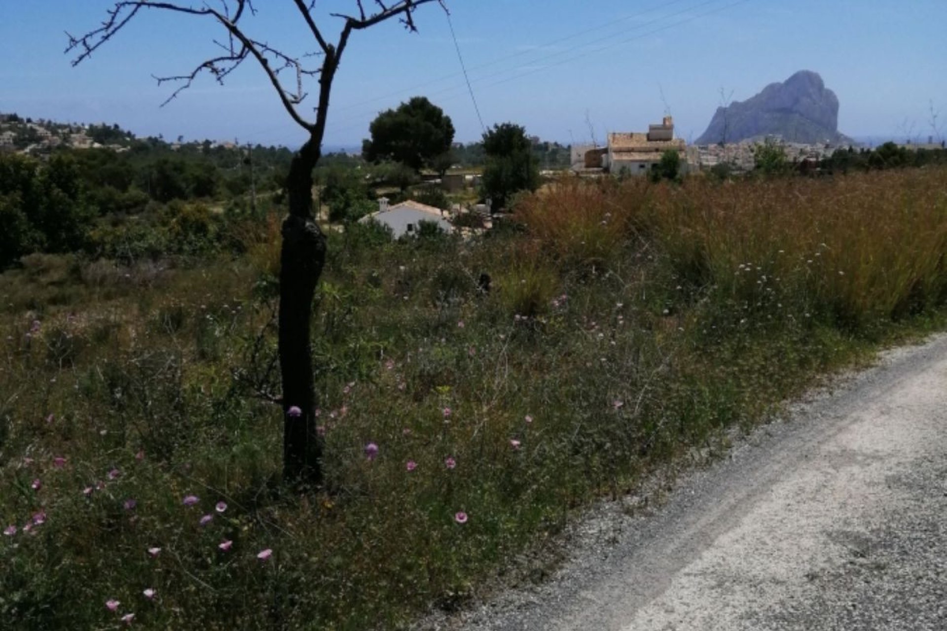 Resale - land -
Calpe - Calpe Centro