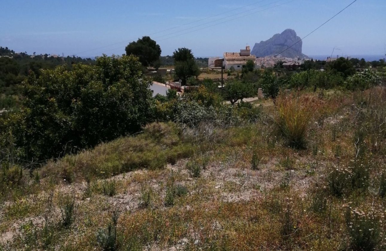 Resale - land -
Calpe - Calpe Centro
