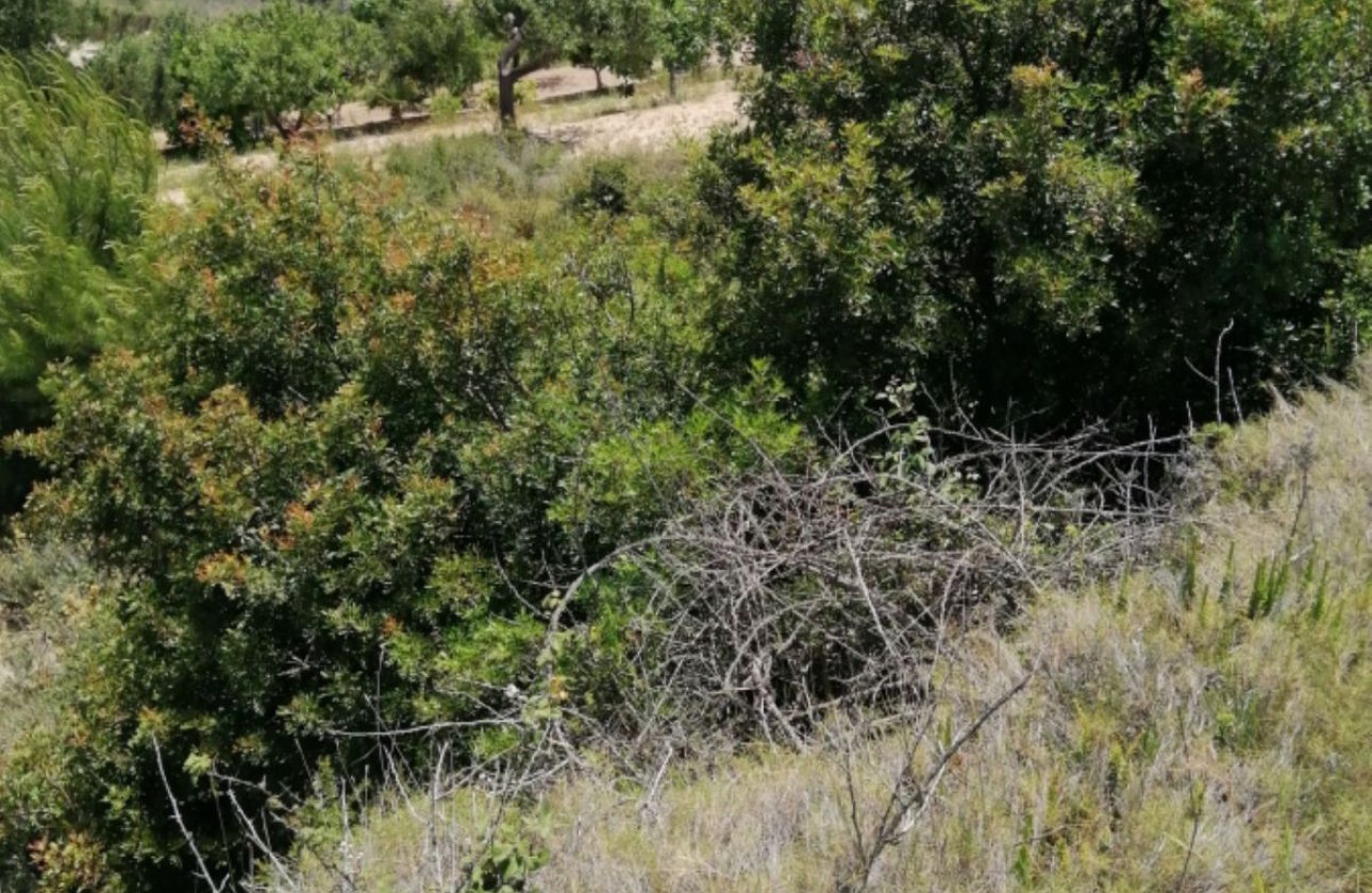 Resale - land -
Calpe - Calpe Centro