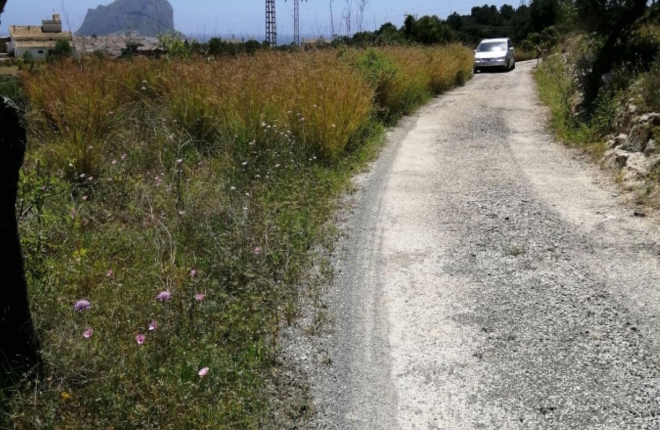 Resale - land -
Calpe - Calpe Centro