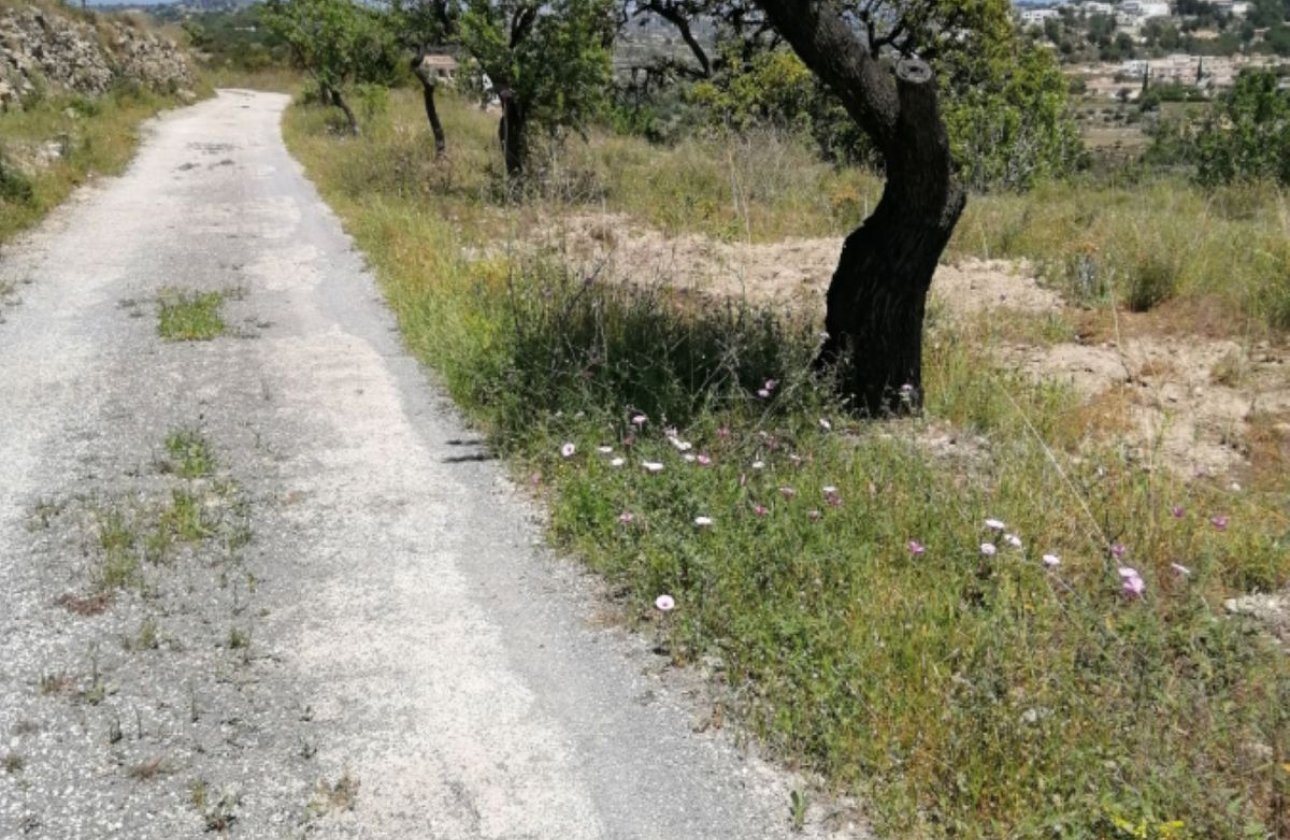 Resale - land -
Calpe - Calpe Centro