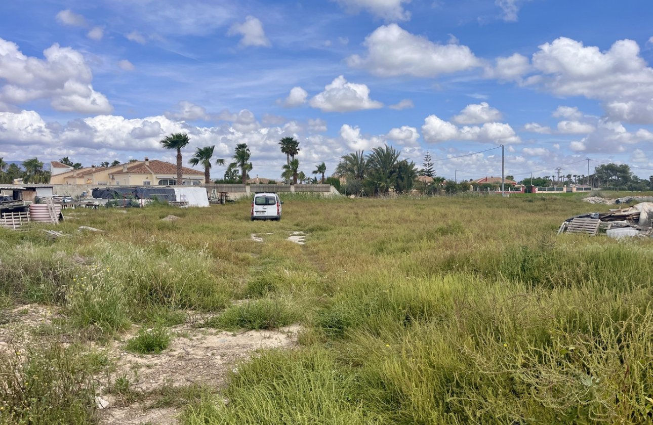 Resale - land -
Catral - Catral Centro