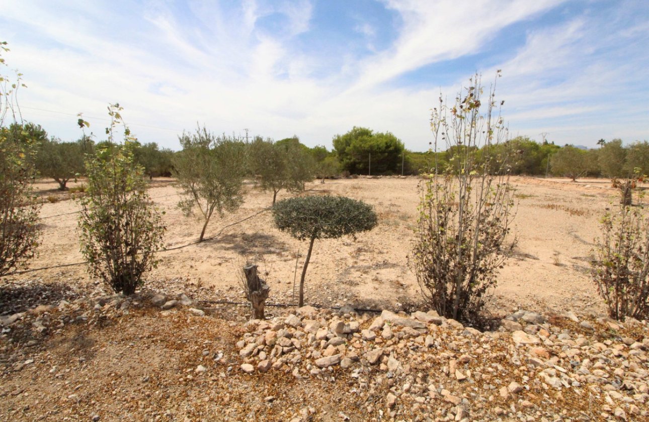 Resale - land -
Elche - Elche Centro