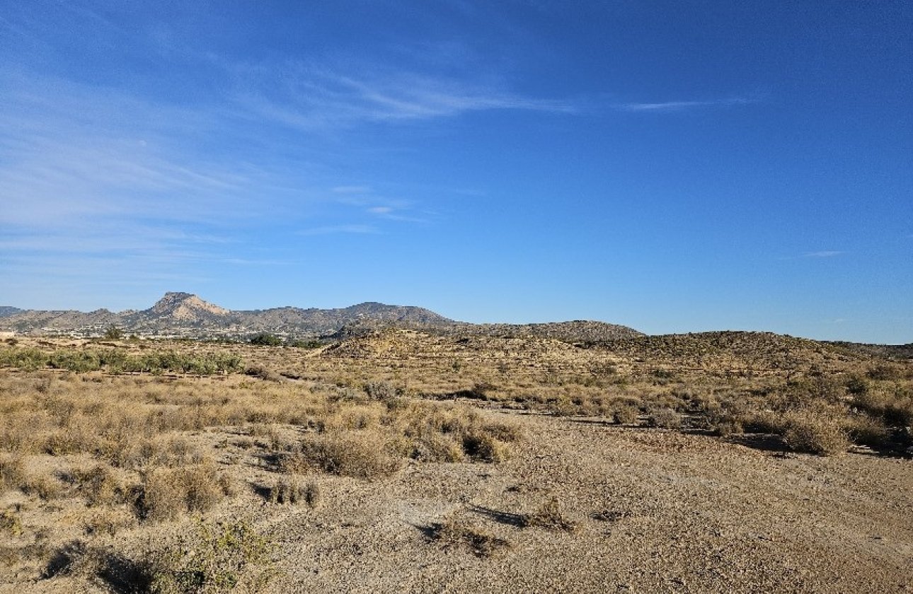 Resale - land -
Elda - Elda Centro