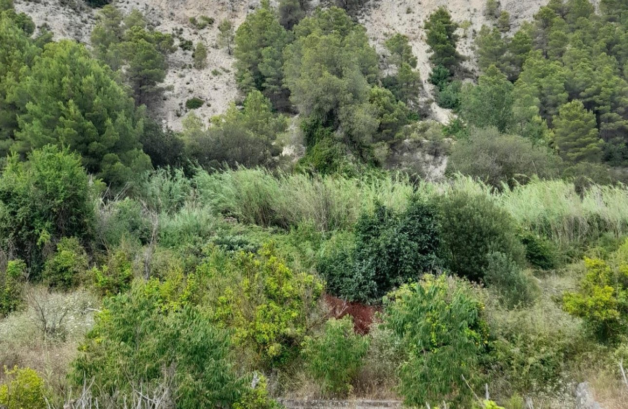 Resale - land -
Guadalest - Guadalest Centro