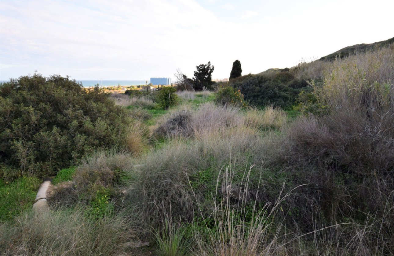 Resale - land -
Guardamar del Segura - Guardamar del Segura Centro