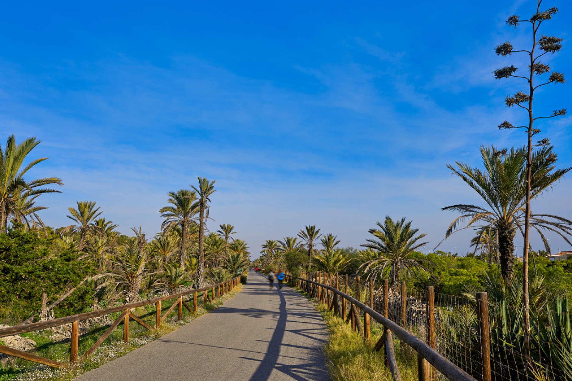 Resale - land -
Guardamar del Segura - Guardamar del Segura Centro