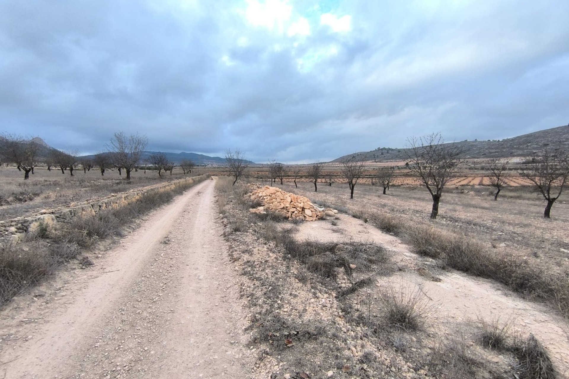 Resale - land -
Jalón - La Solana