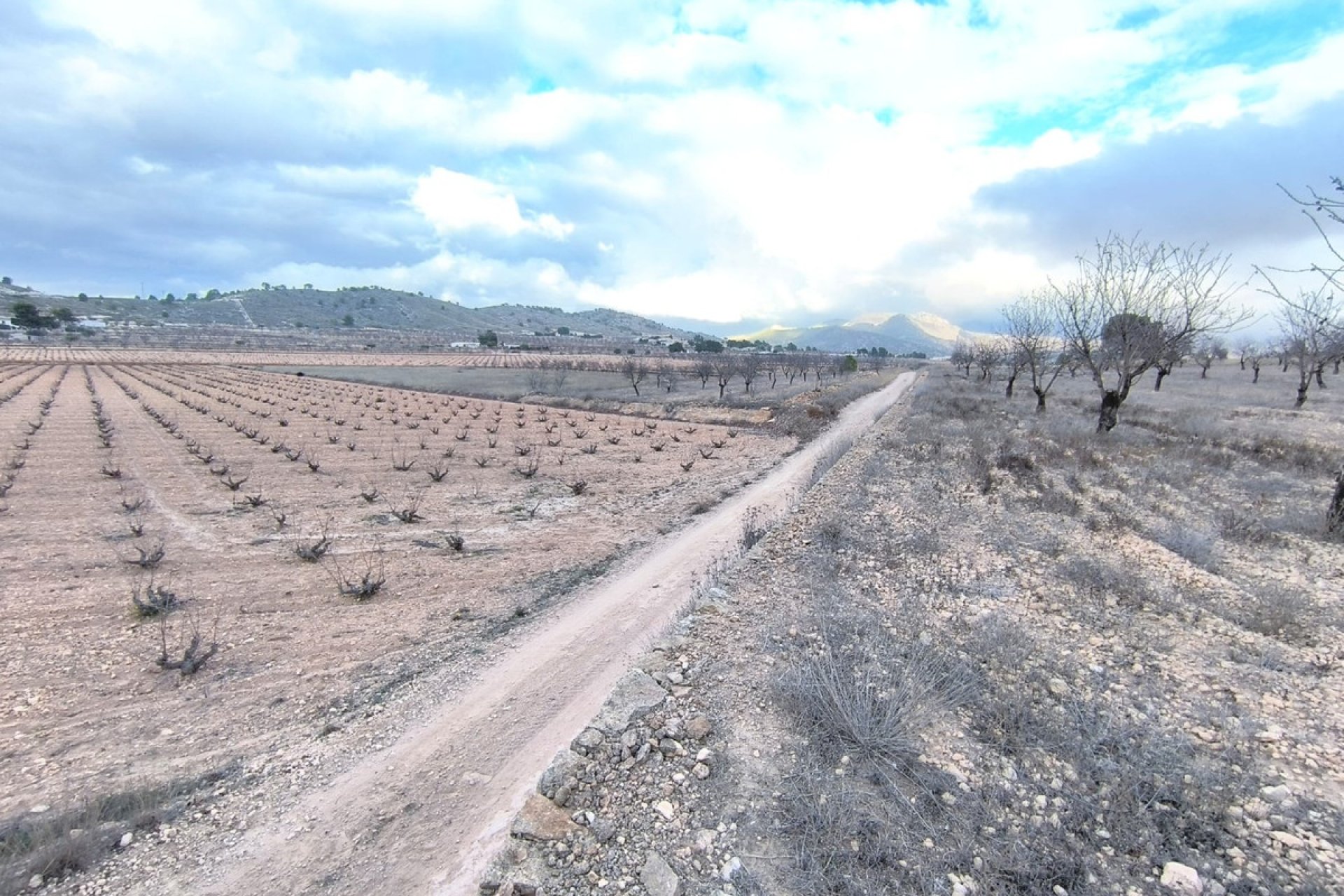 Resale - land -
Jalón - La Solana