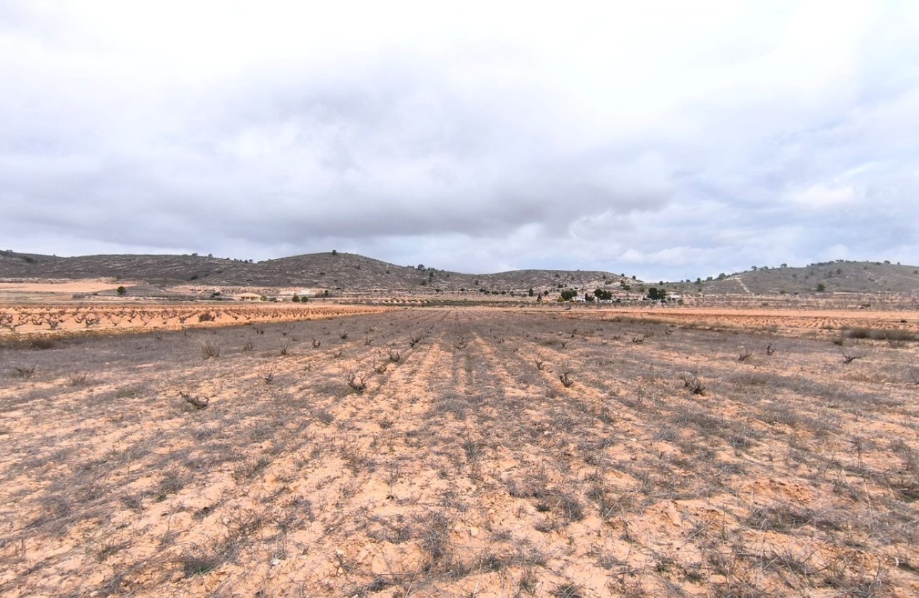 Resale - land -
Jalón - La Solana