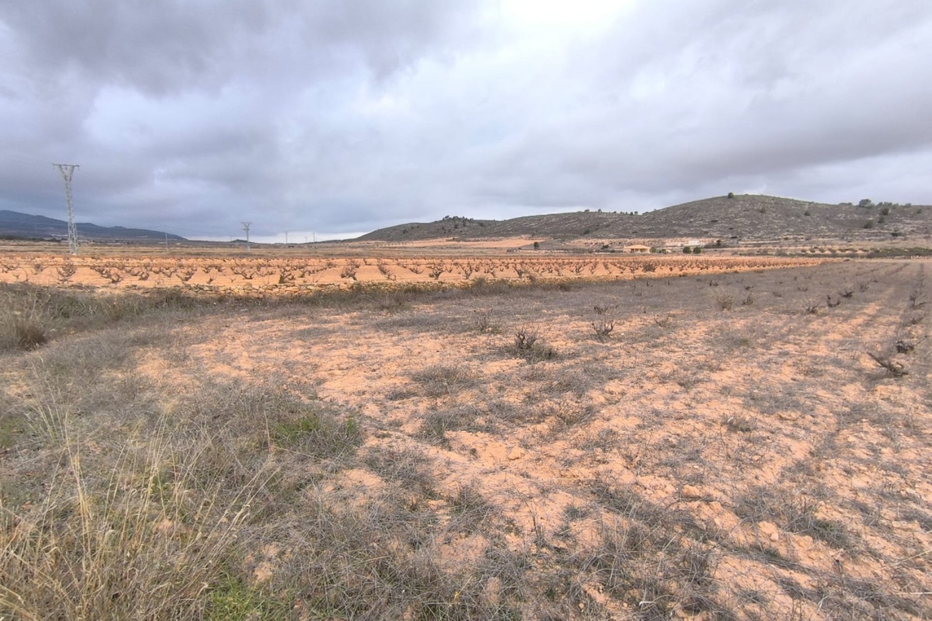 Resale - land -
Jalón - La Solana