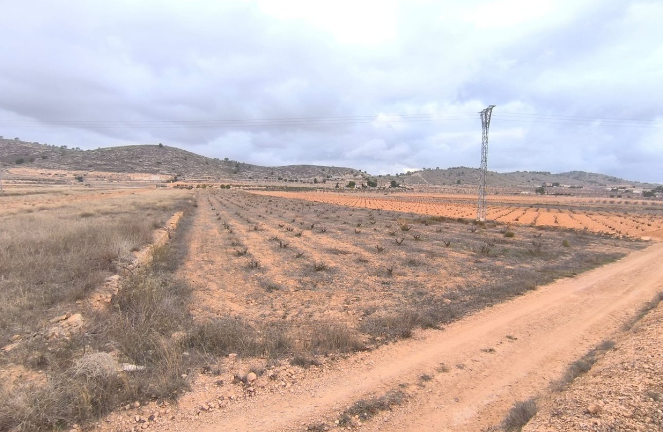 Resale - land -
Jalón - La Solana