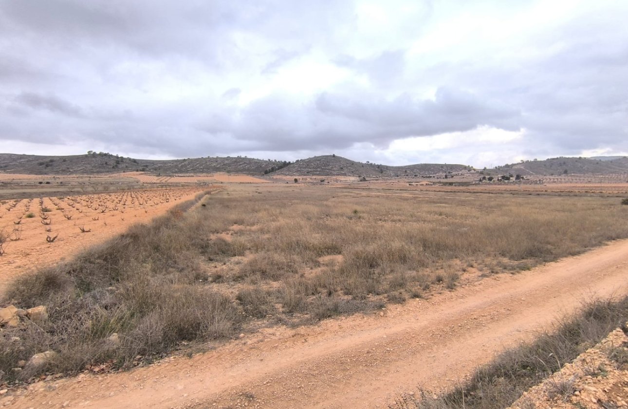 Resale - land -
Jalón - La Solana