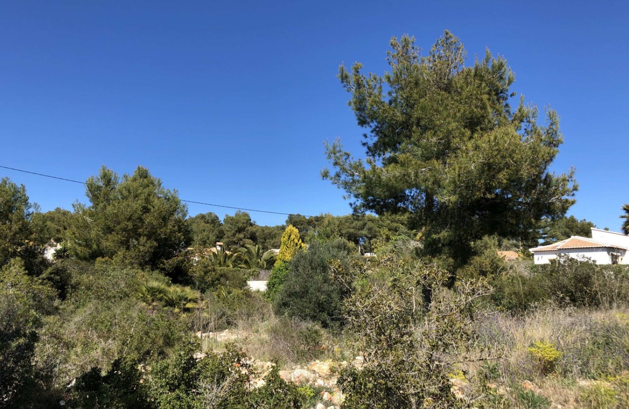 Resale - land -
Jávea - Xàbia - Jávea - Xàbia Centro