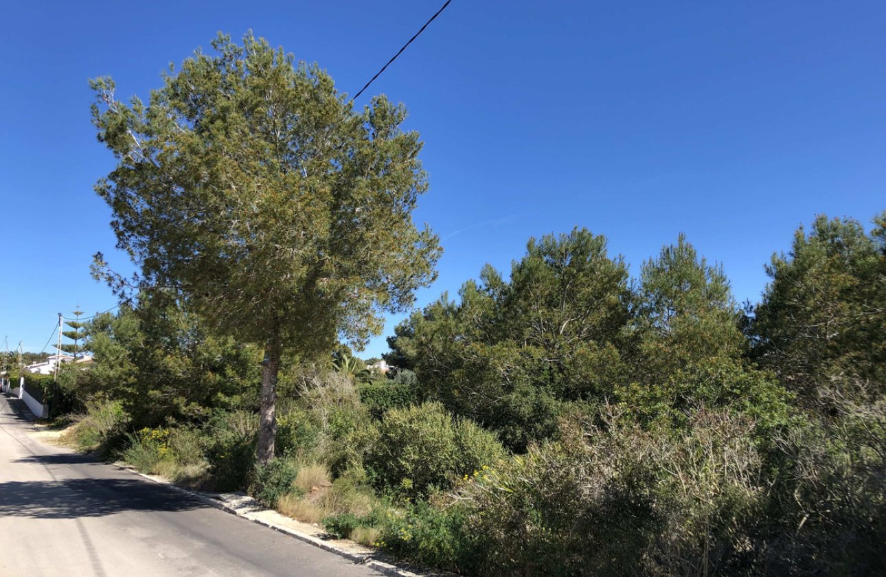 Resale - land -
Jávea - Xàbia - Jávea - Xàbia Centro