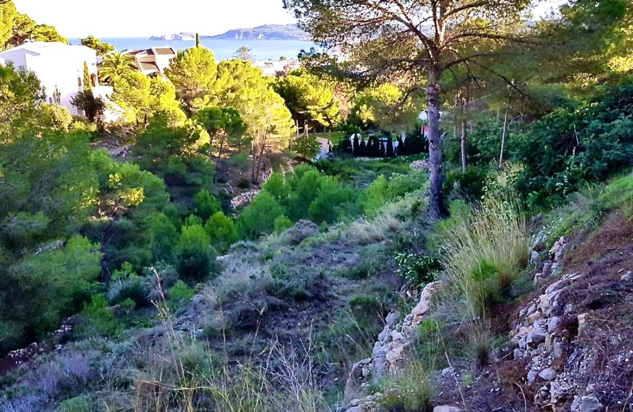 Resale - land -
Jávea - Xàbia - Jávea - Xàbia Centro