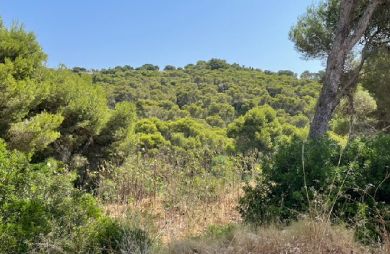 Resale - land -
Jávea - Xàbia - Jávea - Xàbia Centro