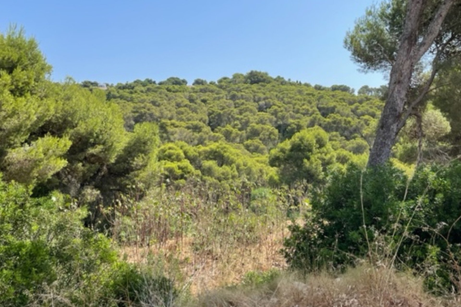 Resale - land -
Jávea - Xàbia - Jávea - Xàbia Centro