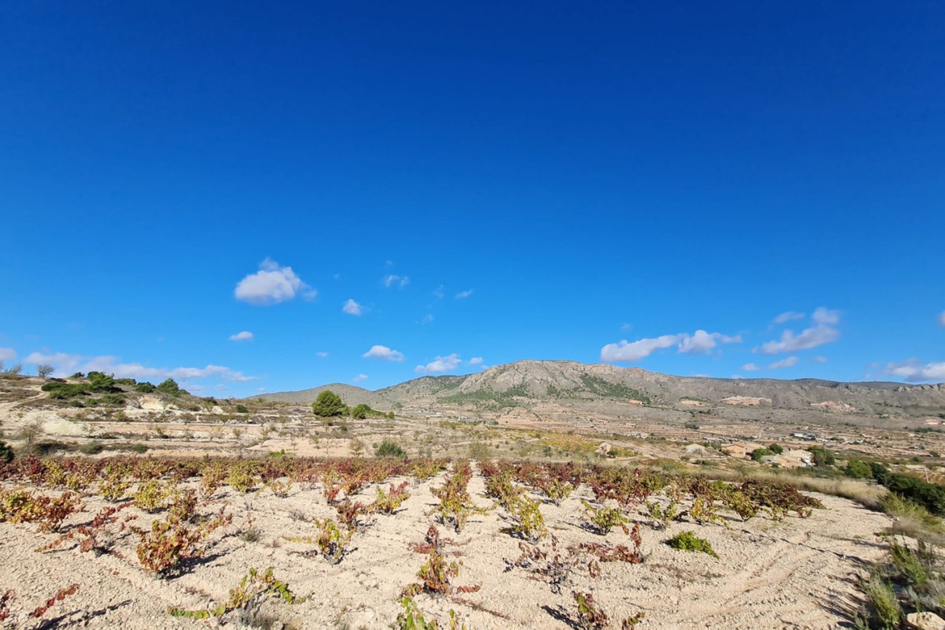 Resale - land -
La Romana - La Romana Centro
