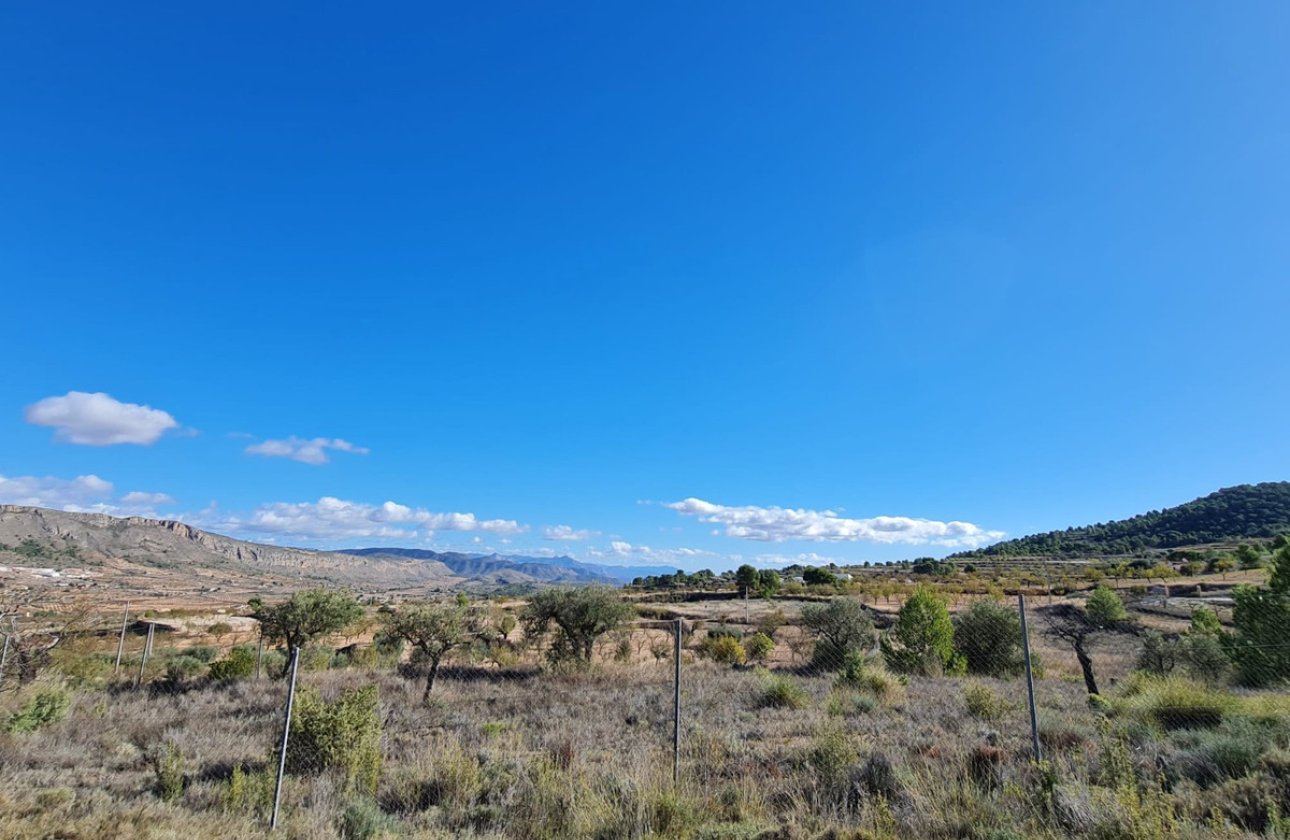 Resale - land -
La Romana - La Romana Centro