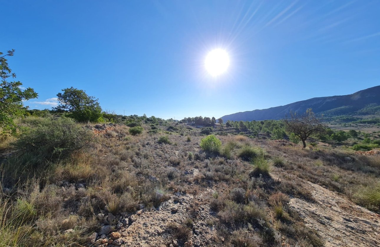 Resale - land -
La Romana - La Romana Centro