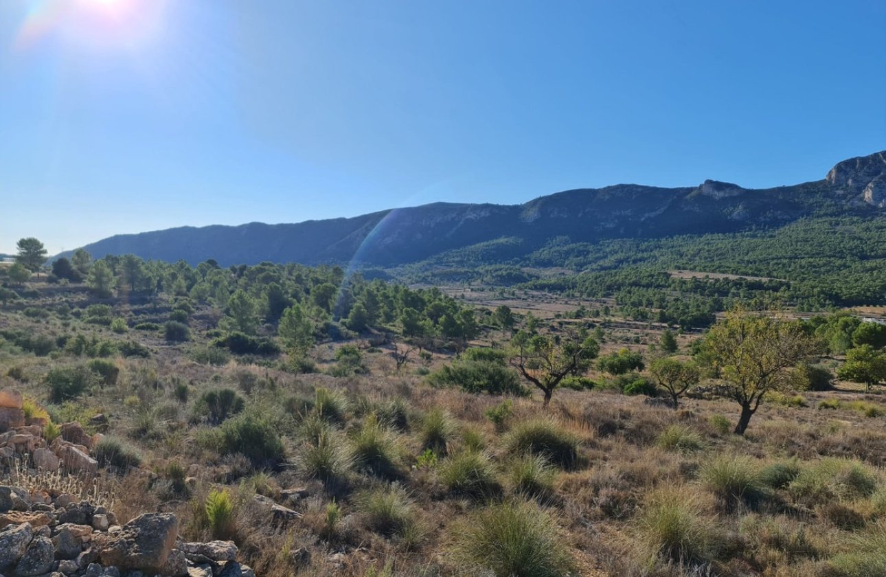 Resale - land -
La Romana - La Romana Centro