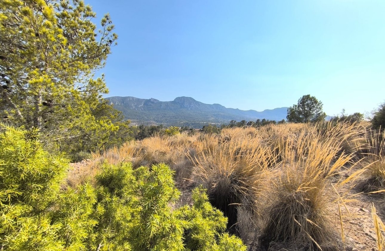 Resale - land -
La Romana - La Romana Centro