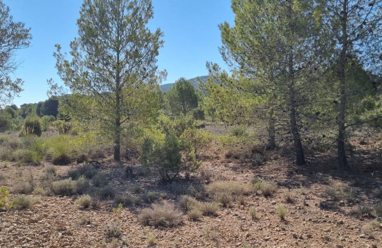 Resale - land -
Monóvar - Monòver - Casas del Señor