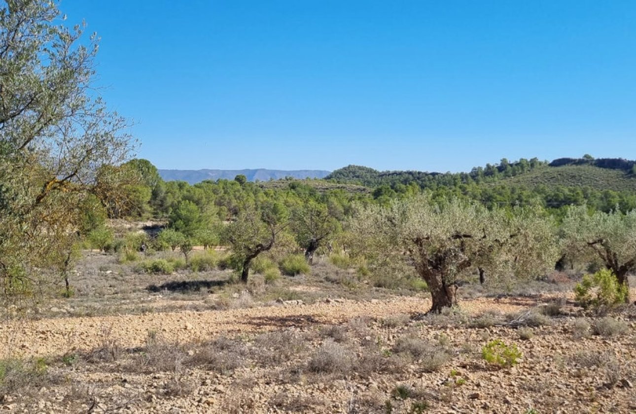 Resale - land -
Monóvar - Monòver - Casas del Señor