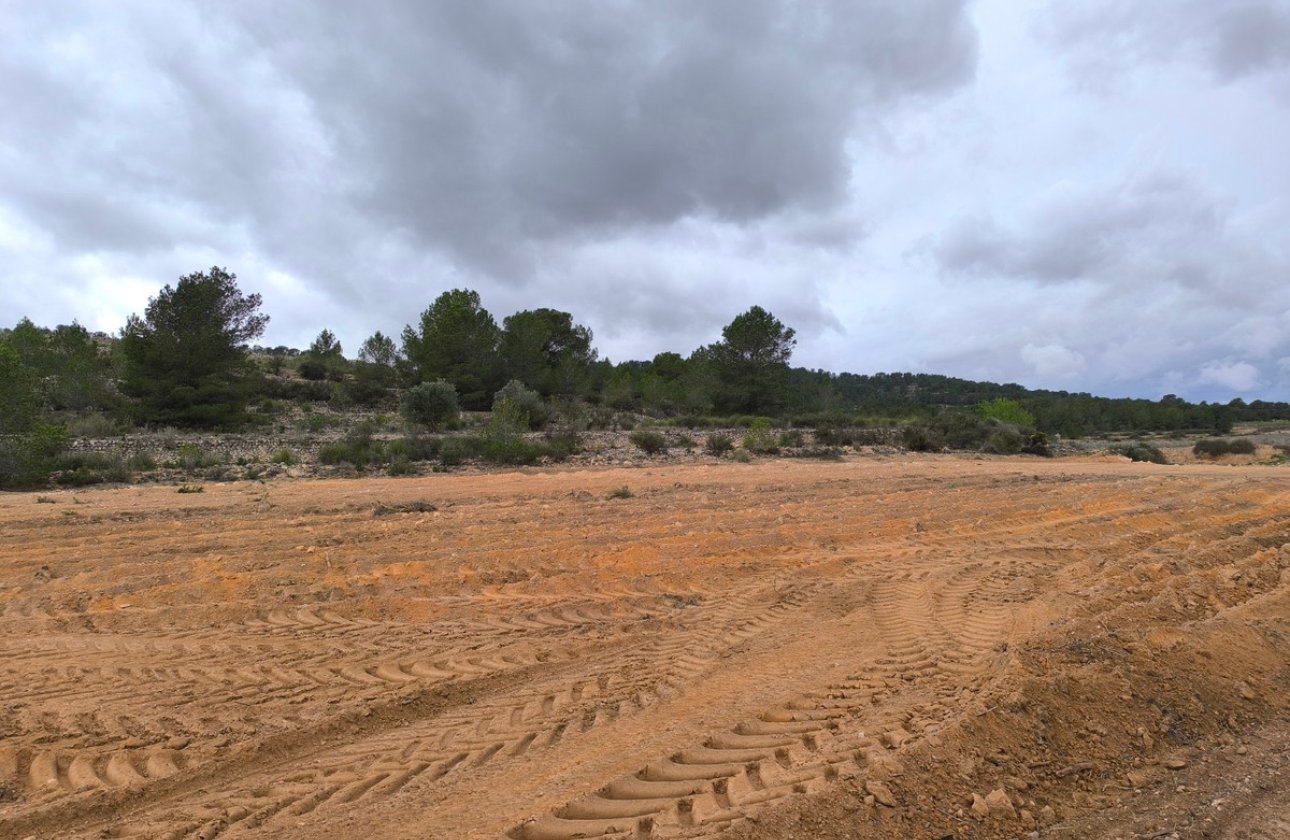 Resale - land -
Monóvar - Monòver - Chinorlet