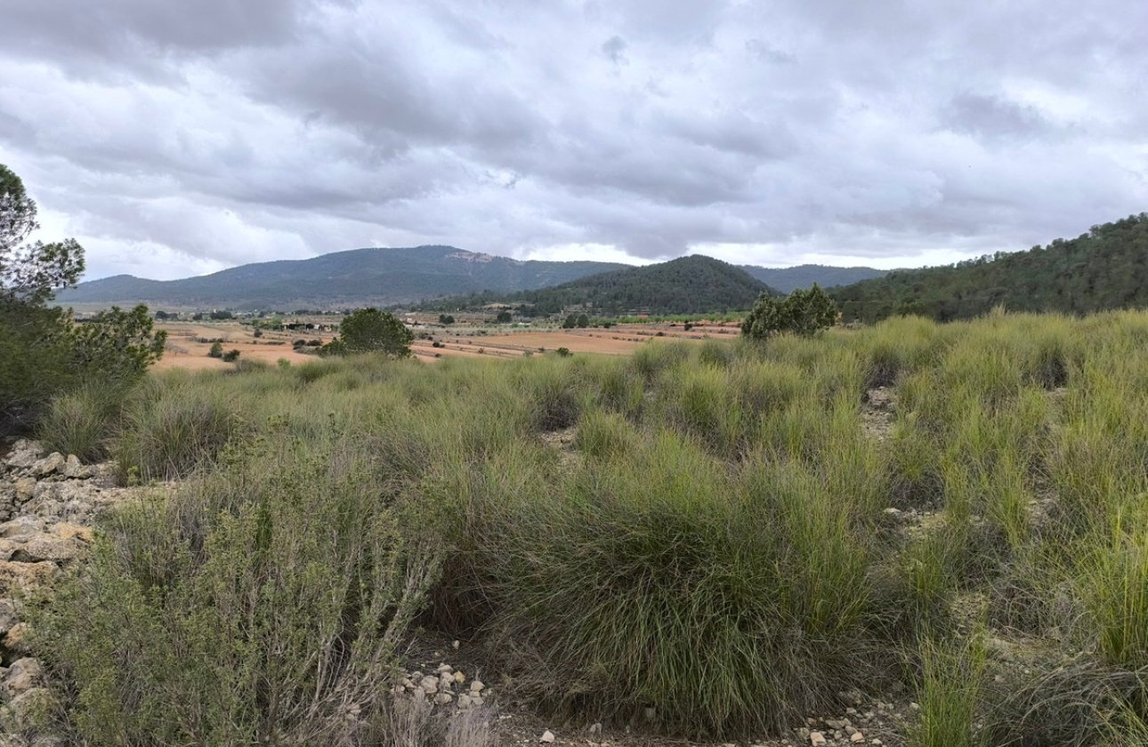 Resale - land -
Monóvar - Monòver - Chinorlet