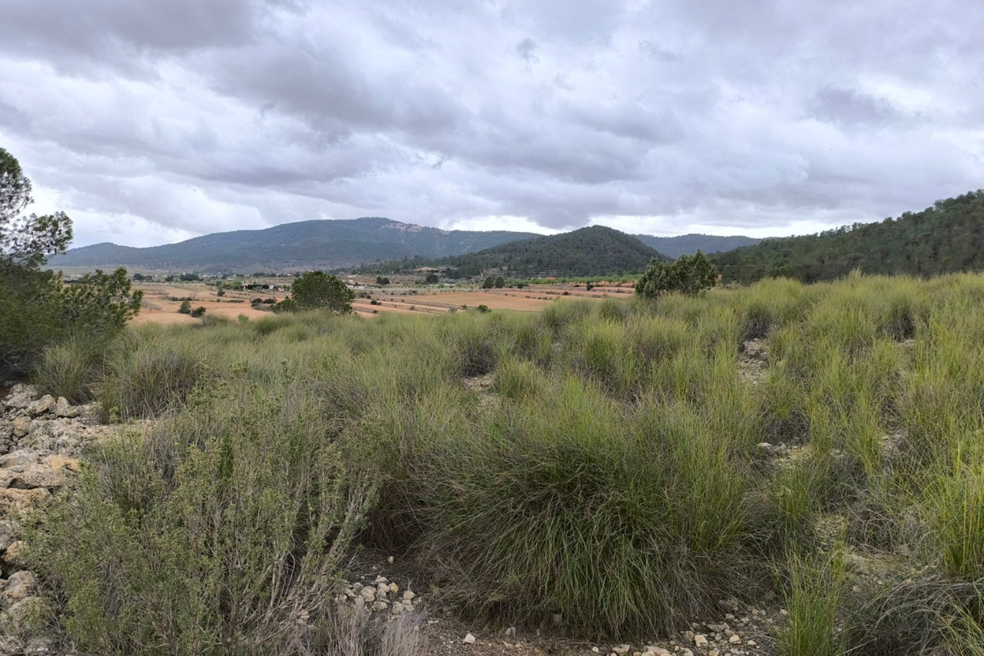 Resale - land -
Monóvar - Monòver - Chinorlet