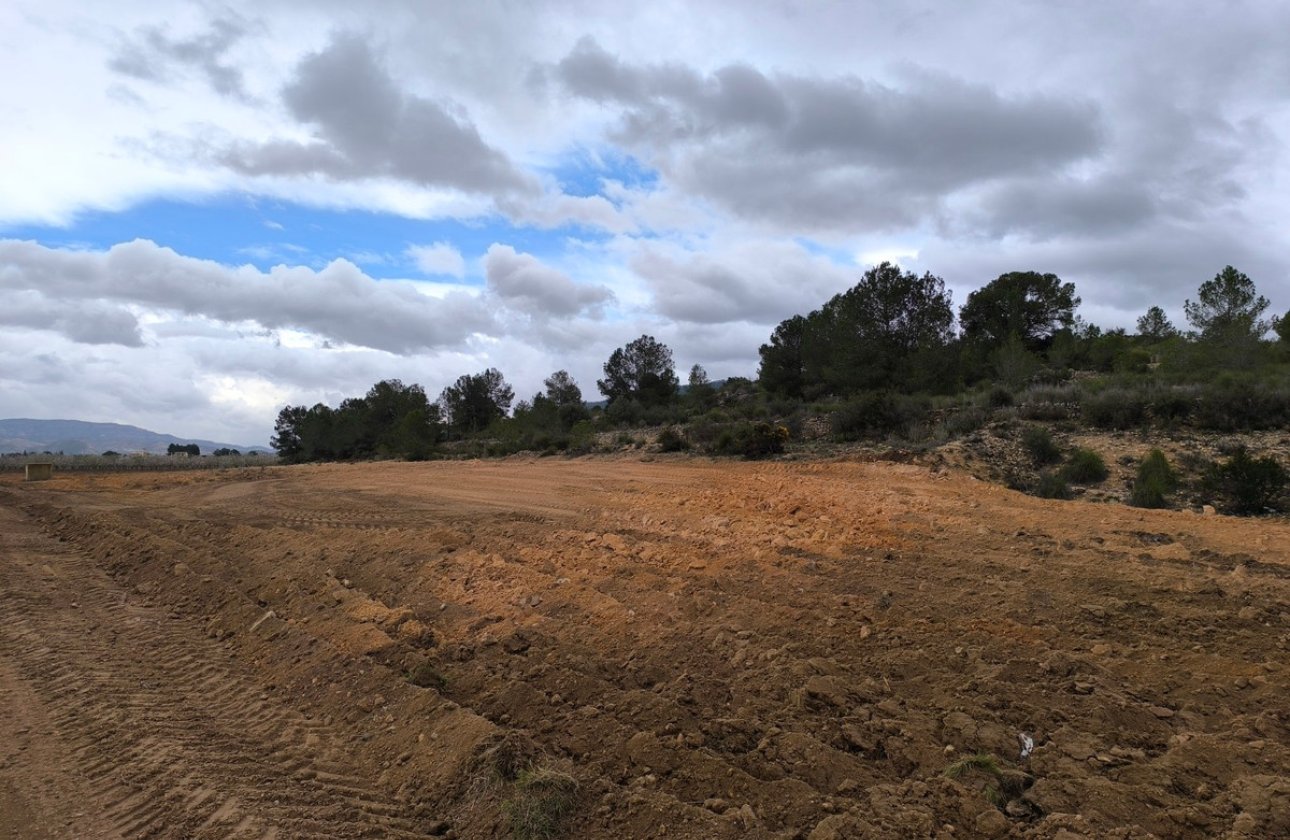 Resale - land -
Monóvar - Monòver - Chinorlet