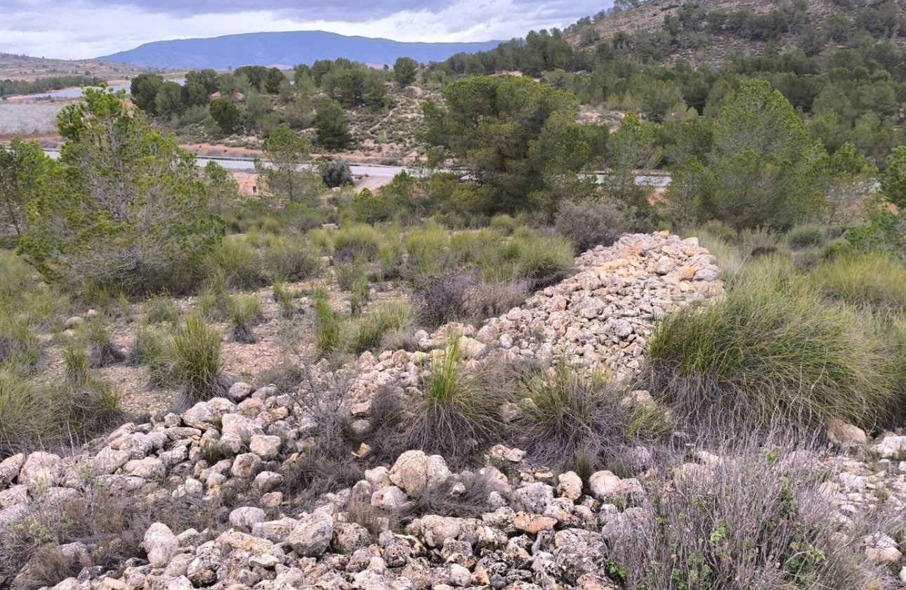 Resale - land -
Monóvar - Monòver - Chinorlet