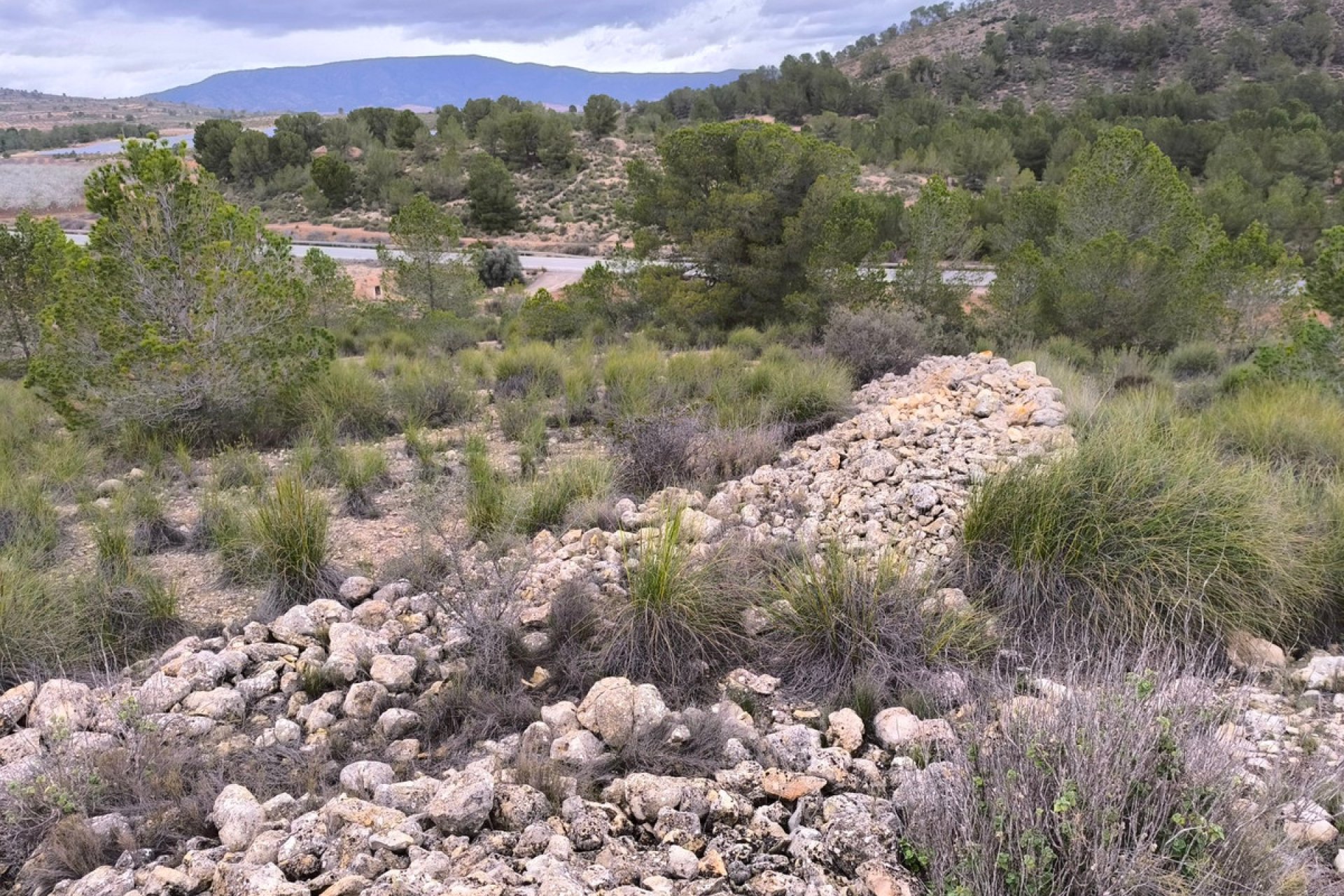 Resale - land -
Monóvar - Monòver - Chinorlet