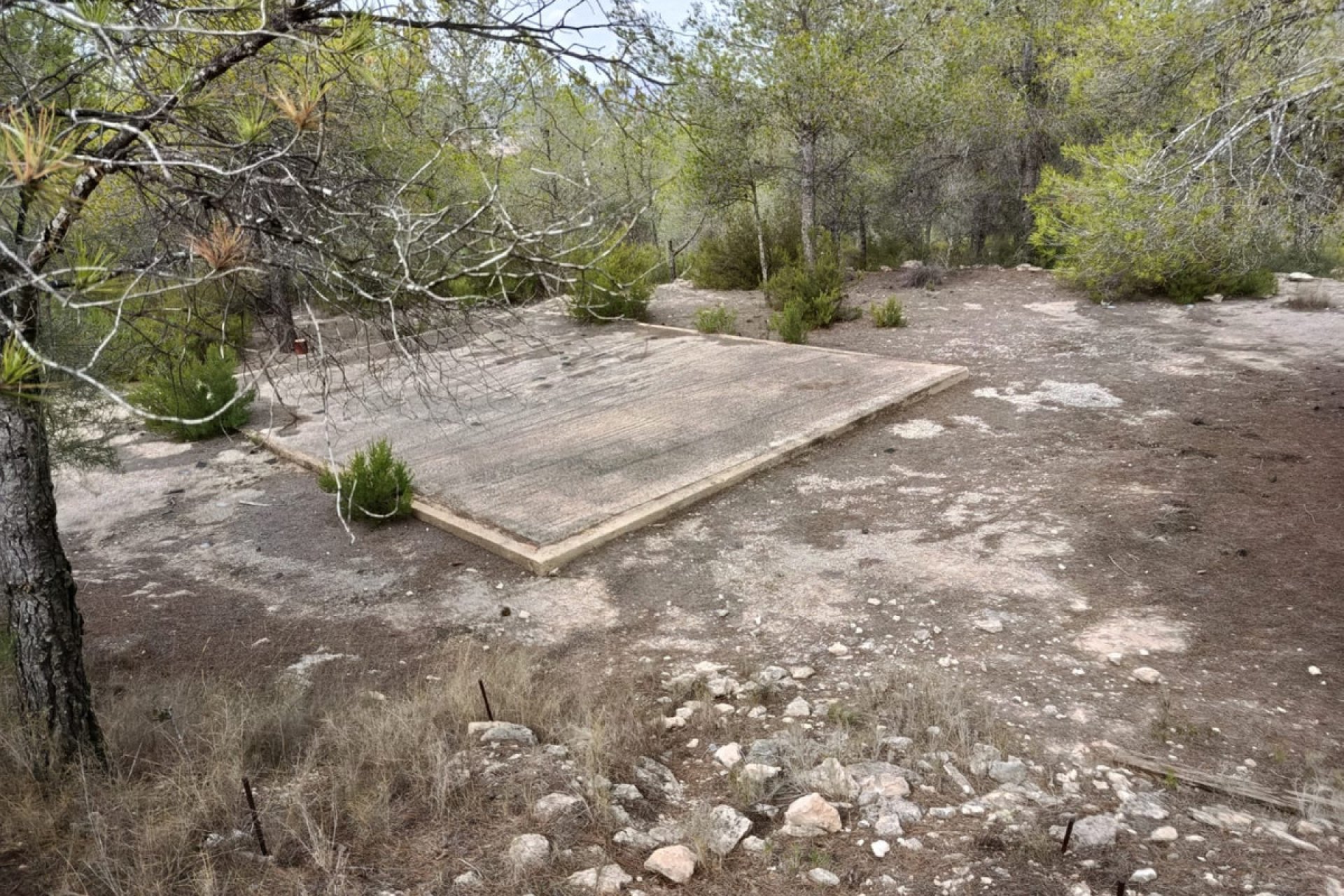 Resale - land -
Monóvar - Monòver - Monóvar - Monòver Centro